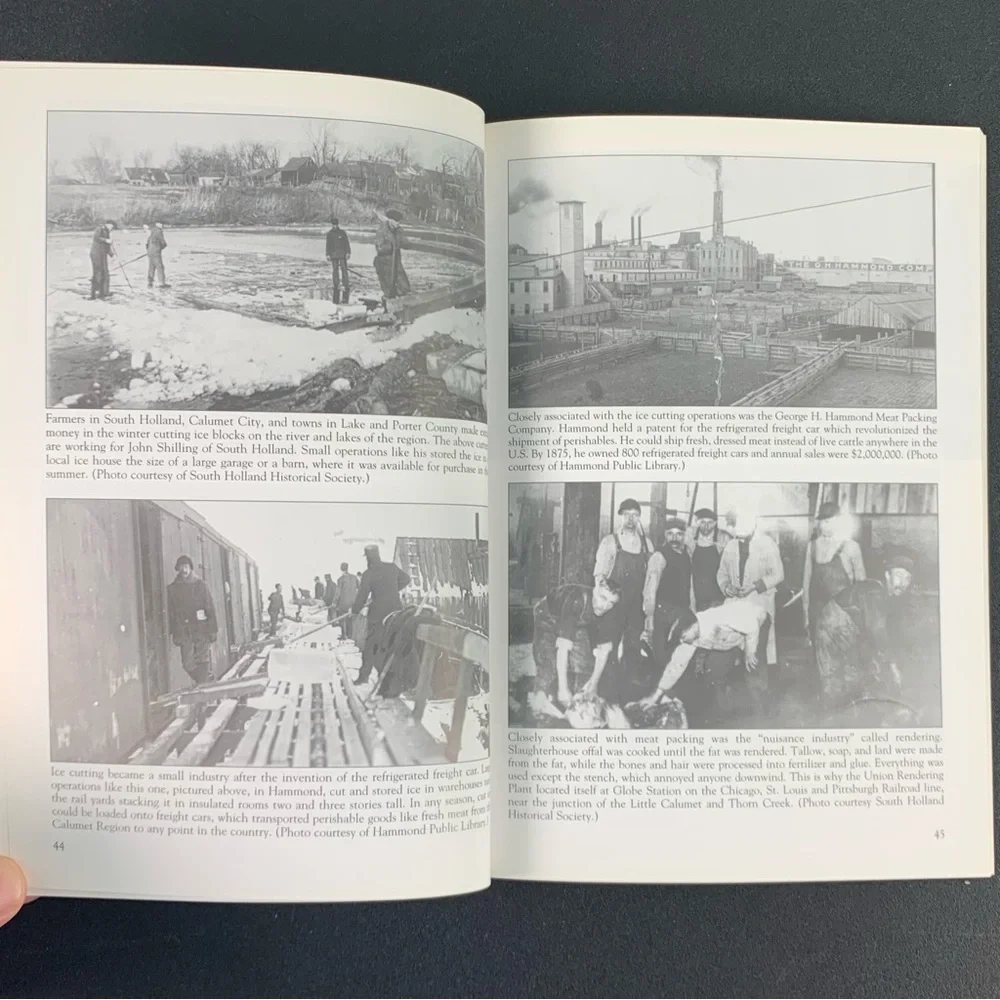 Along the Calumet River by Cynthia L. Ogorek. 2004. Signed Copy.